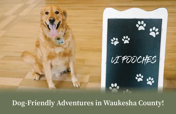 Blog dog friendly sites featured image