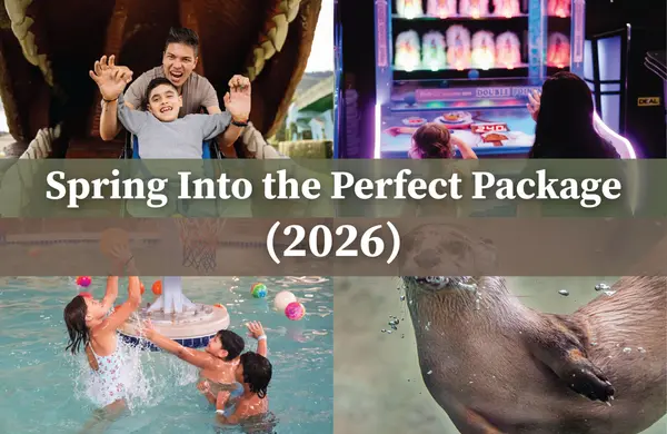 Blog spring package featured images