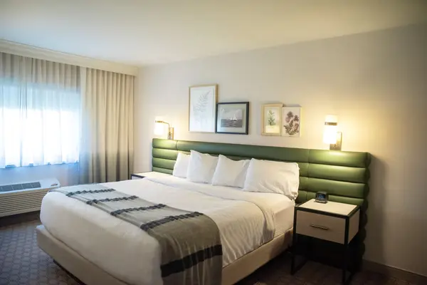 Premier guest room with a king bed and ADA accessible features.