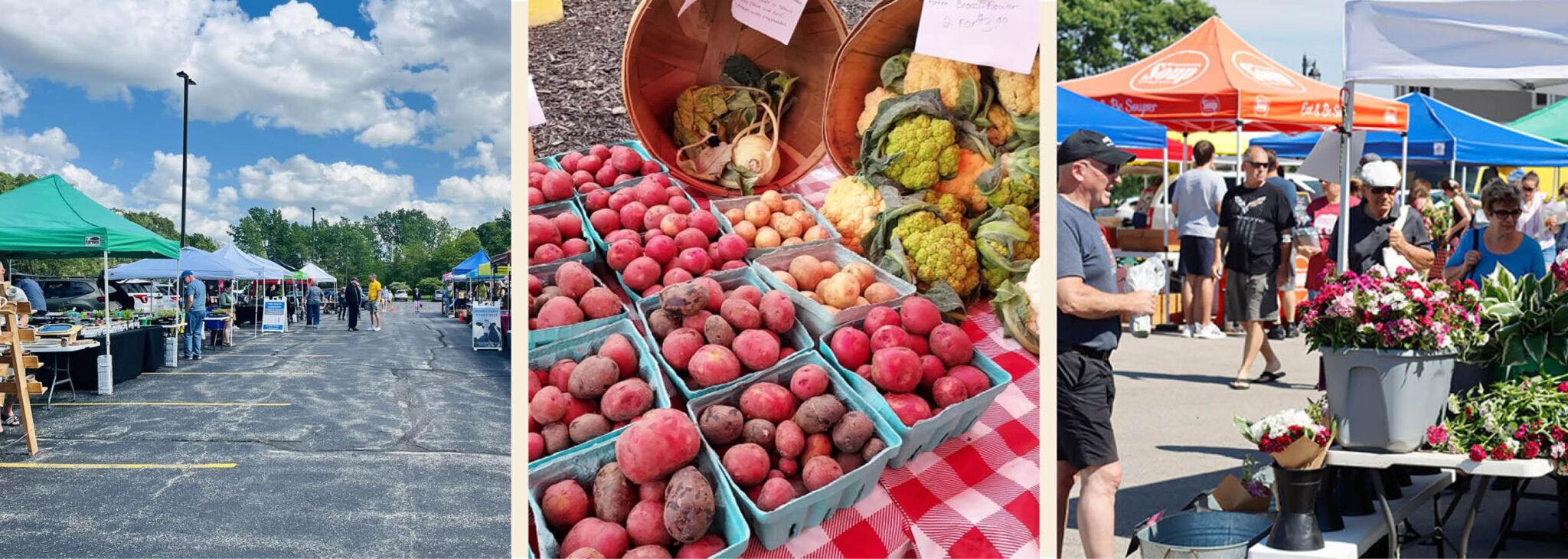 Local farmer's markets in Waukesha County.
