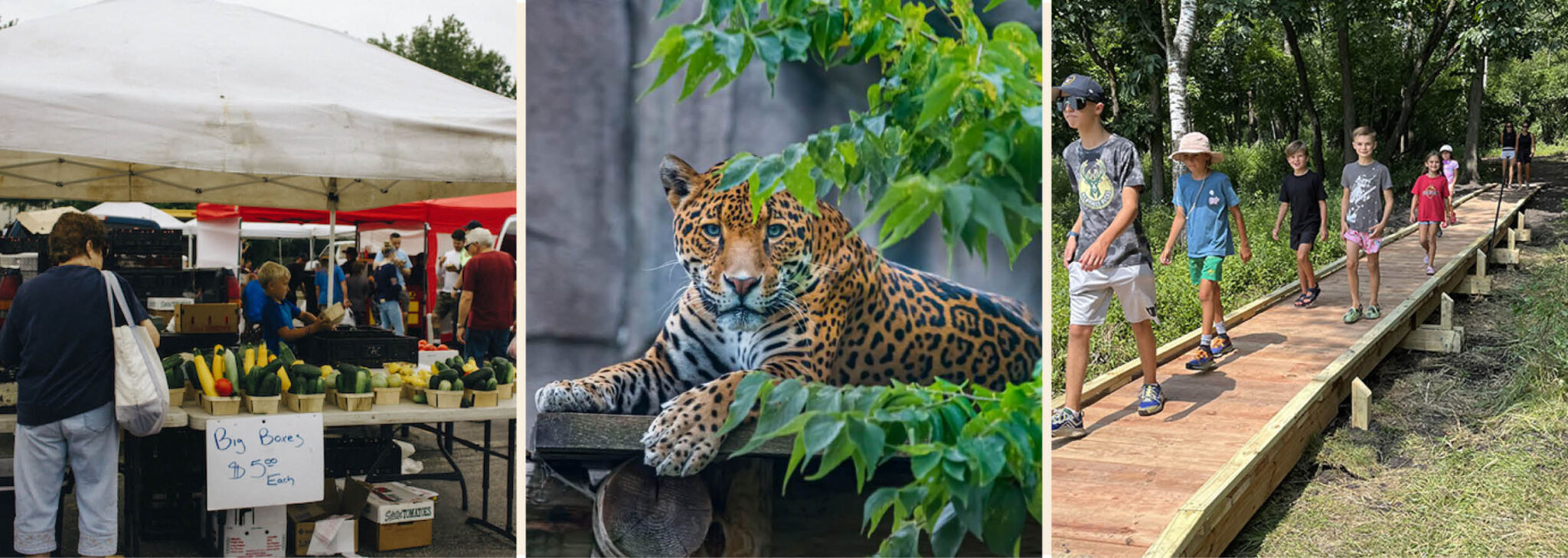 Spring activities in southeastern Wisconsin, including a local farmers market, Milwaukee County Zoo wildlife, and a nature walk along a wooded trail.